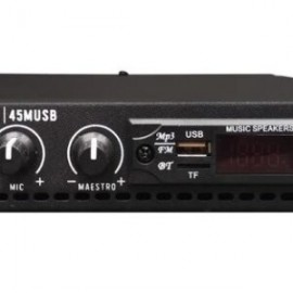 45musb Amplificador 12.5w Usb/sd/fm/bluetooth Radson